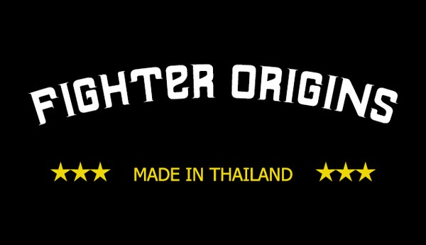 Fighter Origins